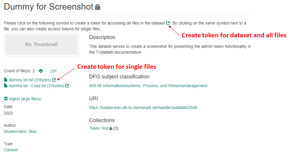 Screenshot to demonstrate the admin token functionality in TUdatalib