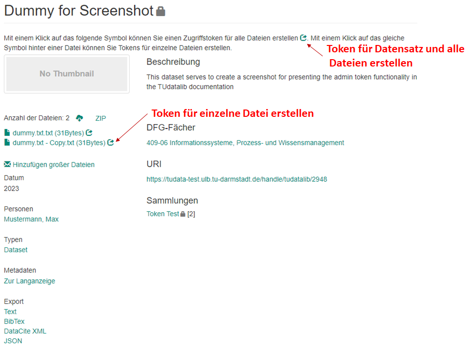 Screenshot um die Admin-Token Funktionalität in TUdatalib zu demonstrieren
